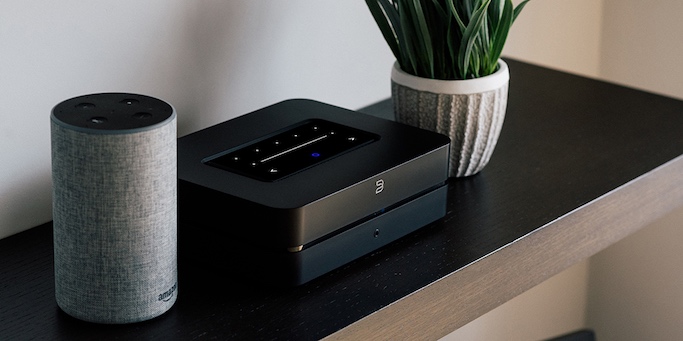 Cinnamon Optilink - 1,5m